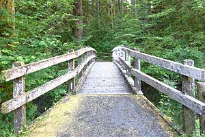 Work With Tracey Cleantis LMFT